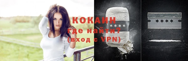 индика Протвино