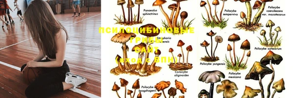 экстази Абаза