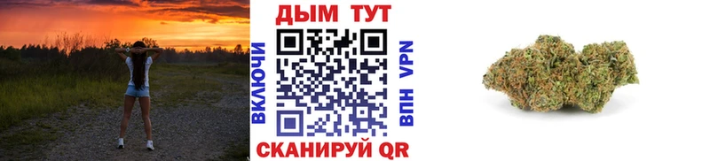 хочу наркоту  Калач  Бошки марихуана гибрид 